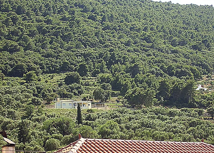 Blue Homes - Summer Escape Κερί